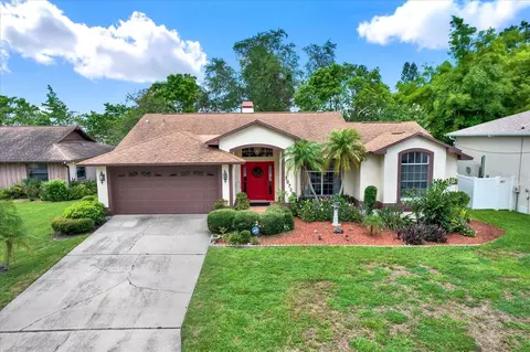 10732 Drummond Rd, Tampa, FL 33615