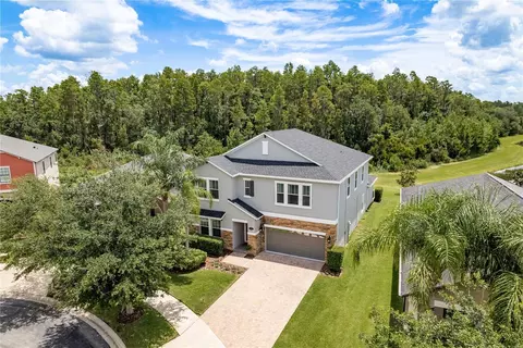 19309 Prairie Tree Pl, Tampa, FL 33647