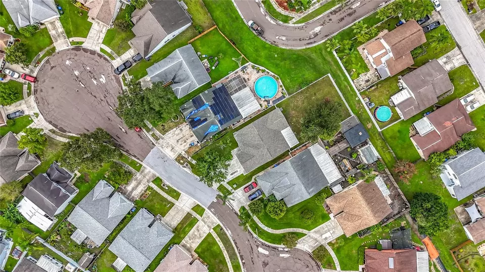 View/Area - 11227 Thicket Ct, Tampa, FL 33624 photo 8 of 11
