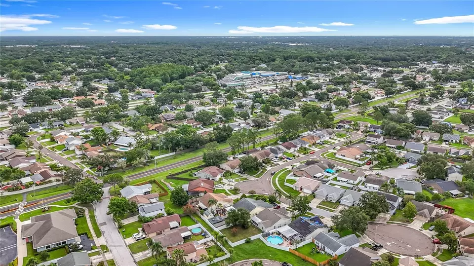 View/Area - 11227 Thicket Ct, Tampa, FL 33624 photo 10 of 11