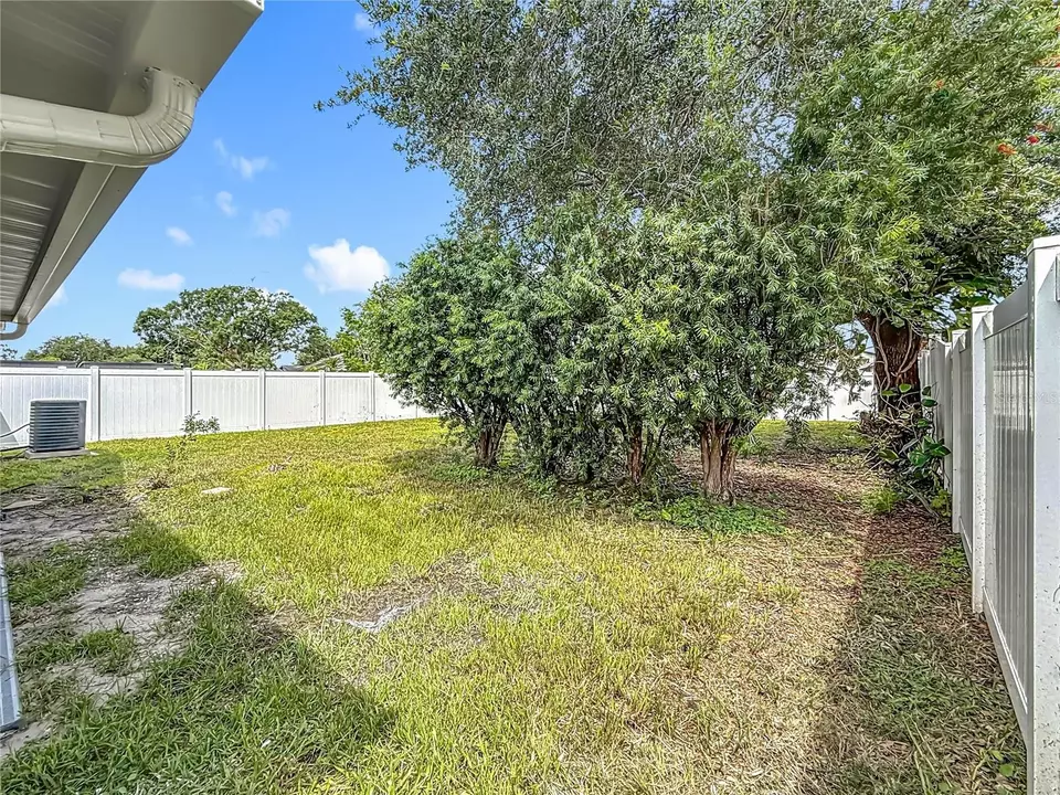 Exterior - 11227 Thicket Ct, Tampa, FL 33624 photo 14 of 21