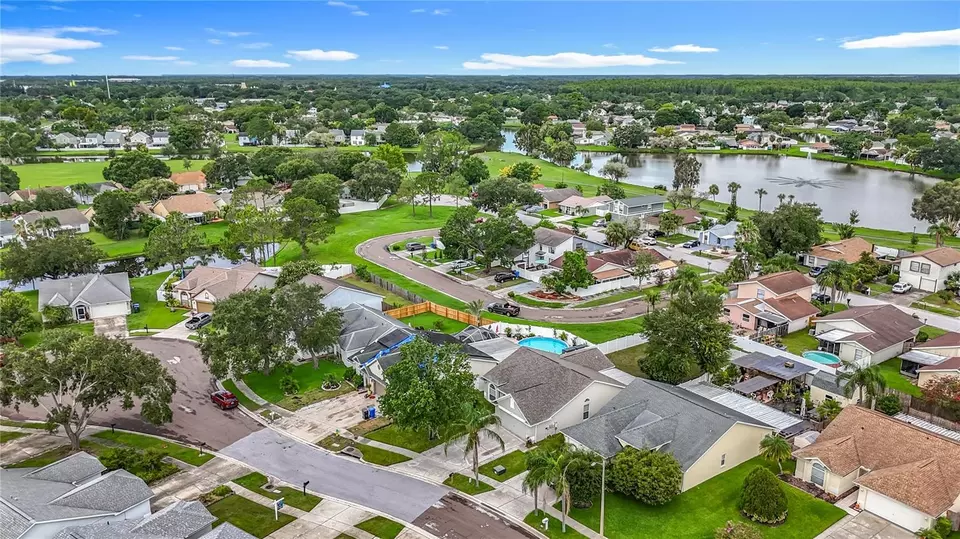 View/Area - 11227 Thicket Ct, Tampa, FL 33624 photo 2 of 11