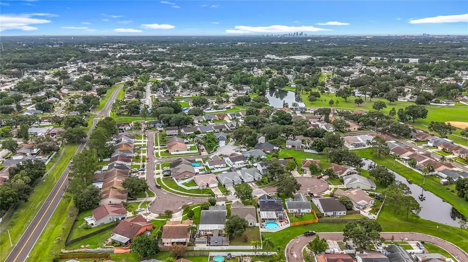 View/Area - 11227 Thicket Ct, Tampa, FL 33624 photo 11 of 11
