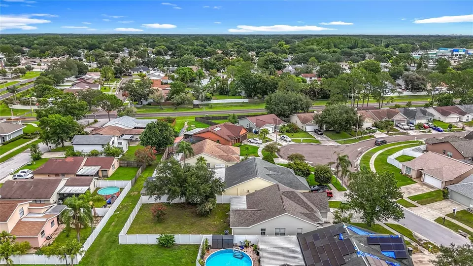 View/Area - 11227 Thicket Ct, Tampa, FL 33624 photo 7 of 11