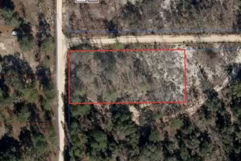 NE 105th Avenue, Bronson, FL 32621