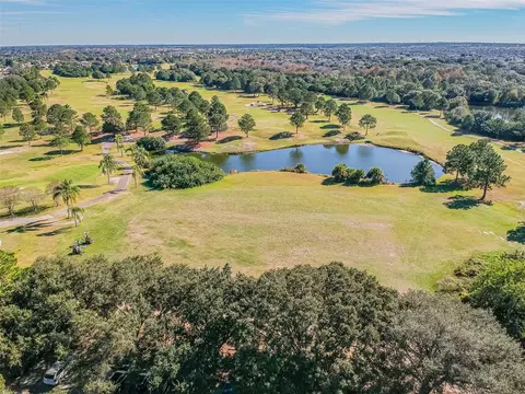 View/Area - 11304 Plumtree Ct, Riverview, FL 33579 photo 20 of 21