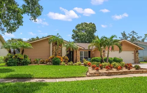 2567 Frisco Dr, Clearwater, FL 33761