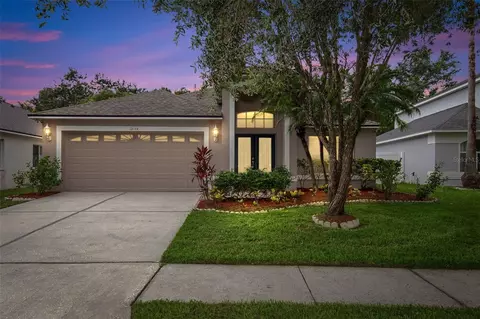 18144 Sandy Pointe Dr, Tampa, FL 33647