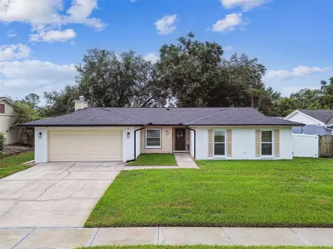 4010 Mountain Springs Ln, Tampa, FL 33624
