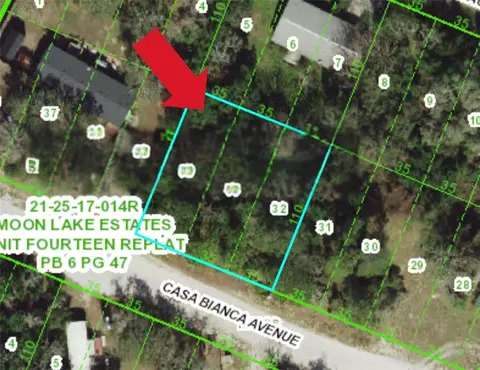 12905 Casa Bianca Ave, New Port Richey, FL 34654