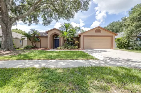 1324 Gangplank Dr, Valrico, FL 33594