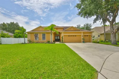12305 Freesia Ct, Riverview, FL 33569