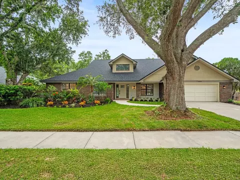3334 Westmoreland Dr, Tampa, FL 33618