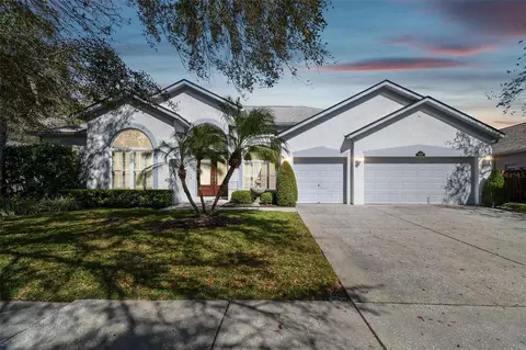 15209 Hammock Chase Ct, Odessa, FL 33556