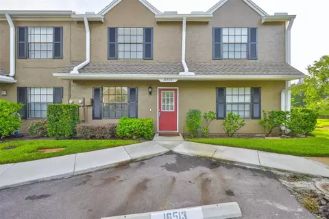16515 Lake Brigadoon Cir, Tampa, FL 33618