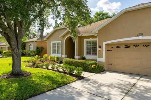 3739 Grand Forks Dr, Land O Lakes, FL 34639
