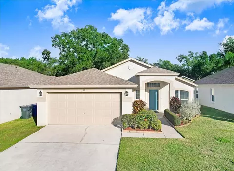 517 Royal Ridge St, Valrico, FL 33594
