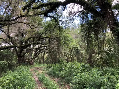 7239 S County Line Rd, Plant City, FL 33567