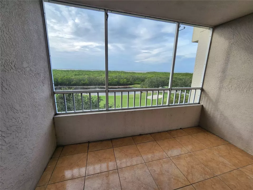 Exterior - 2333 Feather Sound Dr #A607, Clearwater, FL 33762 photo 2 of 2