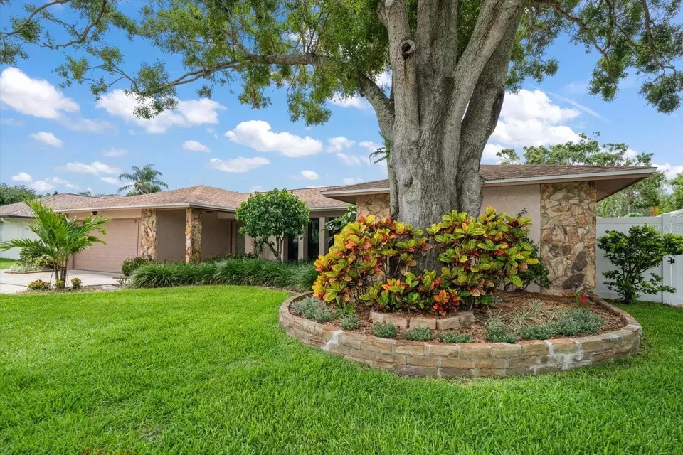 Exterior - 1623 El Tair Trl, Clearwater, FL 33765 photo 6 of 17