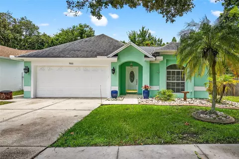 7513 Savannah Ln, Tampa, FL 33637