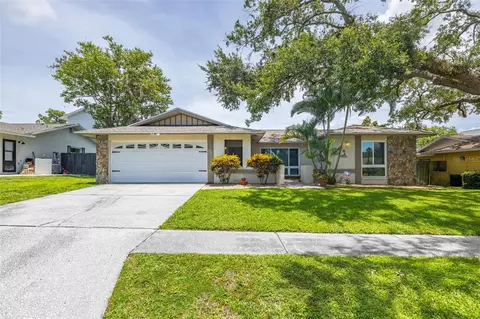 3437 Dove Hollow Ct, Palm Harbor, FL 34683
