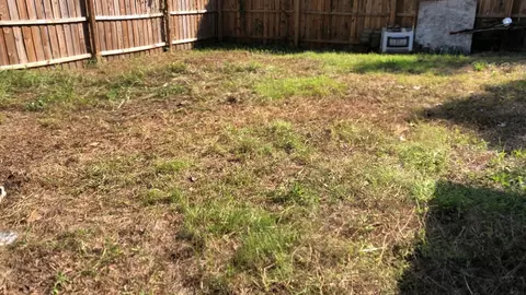 14610 5th St, Dade City, FL 33523