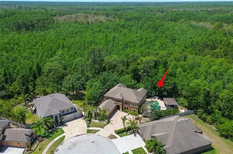 14809 Ninebark Ct, Land O Lakes, FL 34638