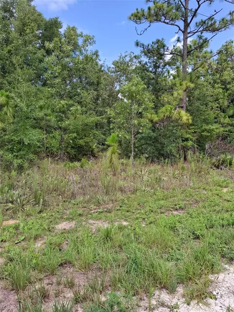 lot7 Crabapple Rd, Weeki Wachee, FL 34614