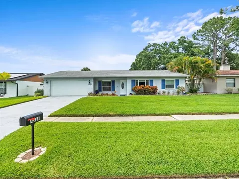 4313 Hollow Hill Dr, Tampa, FL 33624