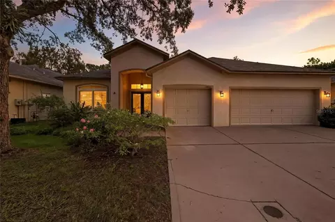 19213 Pelican Ridge Ln, Tampa, FL 33647
