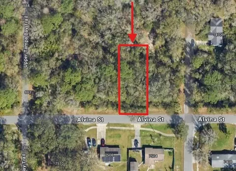 0 Alvina St, Tampa, FL 33625
