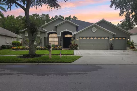 19410 French Lace Dr, Lutz, FL 33558