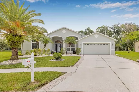 3842 Austin Range Dr, Land O Lakes, FL 34639