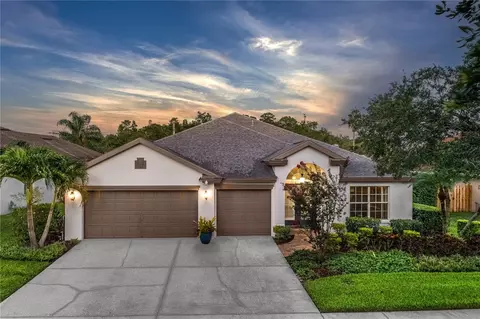 10231 Millport Dr, Tampa, FL 33626
