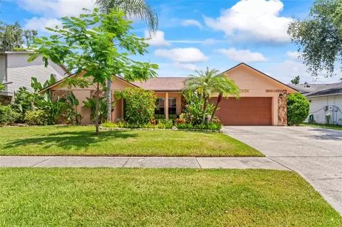 1008 Mallow Way, Brandon, FL 33510