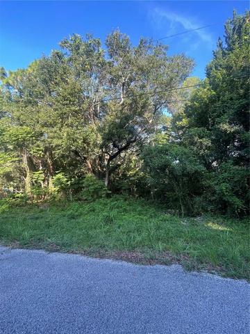4054 N Sun Dance Pt Crystal River - TB8405944 0 JbZamY T 