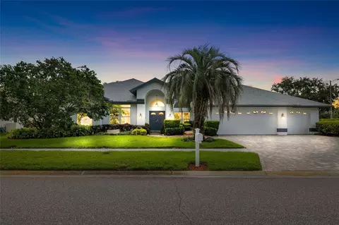 17301 Stetson Ln, Odessa, FL 33556