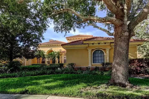 10504 Sabella Dr, Trinity, FL 34655