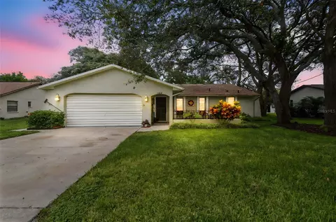 2406 Gallagher Ave, Spring Hill, FL 34606
