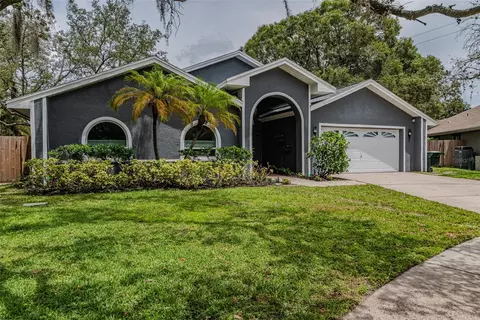 1014 Bramblewood Ct, Safety Harbor, FL 34695