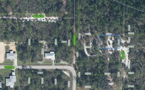 6809 Vanda Pl, Sebring, FL 33875 photo 2