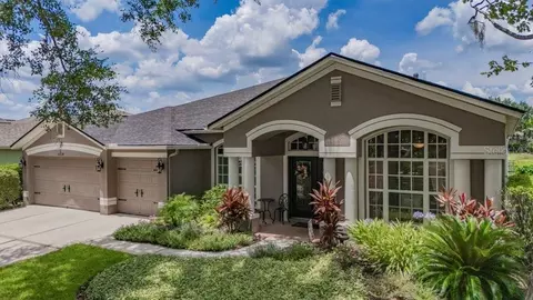 16224 Bridgepark Dr, Lithia, FL 33547