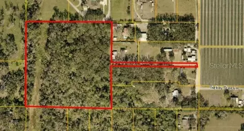 Turkey Tree Lane, Dover, FL 33527