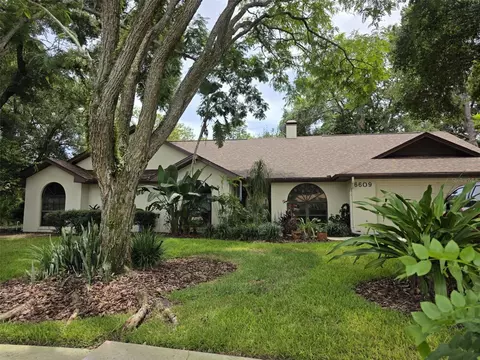 6609 Baybrooks Cir, Temple Terrace, FL 33617
