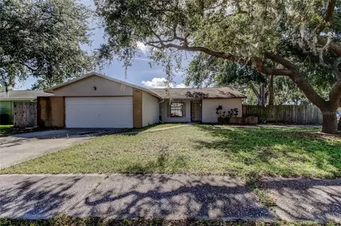 14701 Cactus Wren Pl, Tampa, FL 33625
