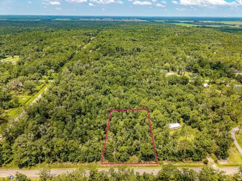10155 Turpin Ave, Hastings, FL 32145