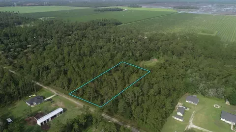10325 Gregory Ave, Hastings, FL 32145