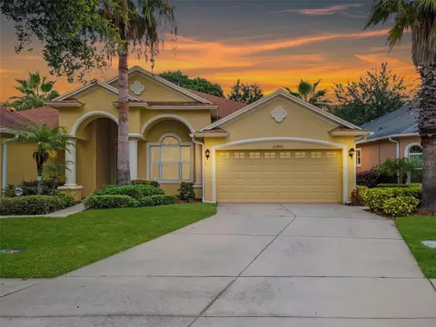 20821 Amanda Oak Ct, Land O Lakes, FL 34638