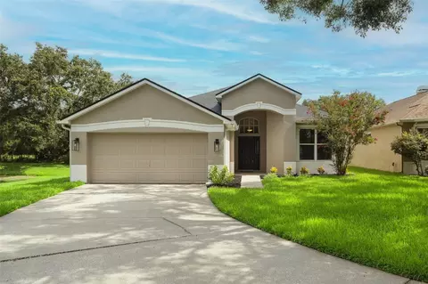 4735 Dunnie Dr, Tampa, FL 33614